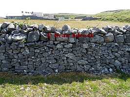 Standard Doubled Field Wall Inis Mor